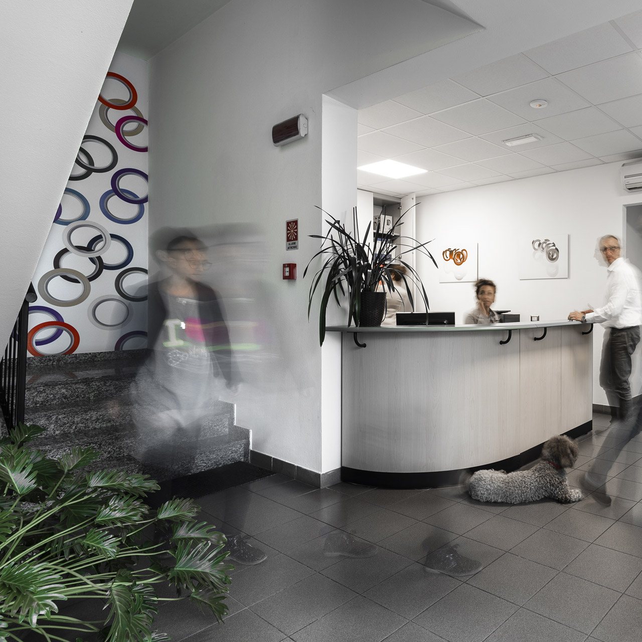 Modena Service Center Customer service – Modena Nastri
